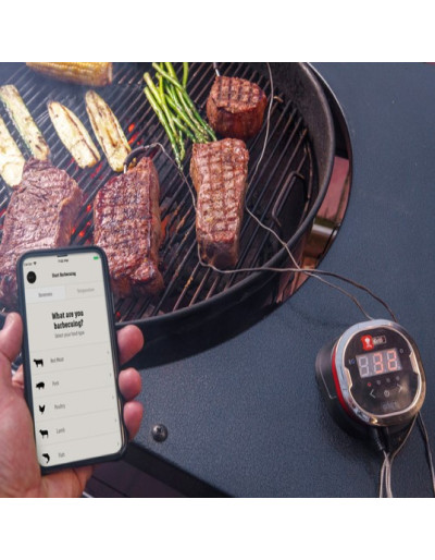 TERMONETRO DIGITALE IGRILL 2