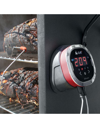 TERMONETRO DIGITALE IGRILL 2