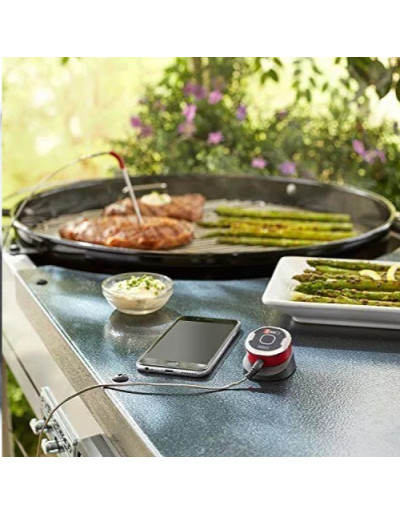 TERMÓMETRO DIGITAL IGRILL MINI
