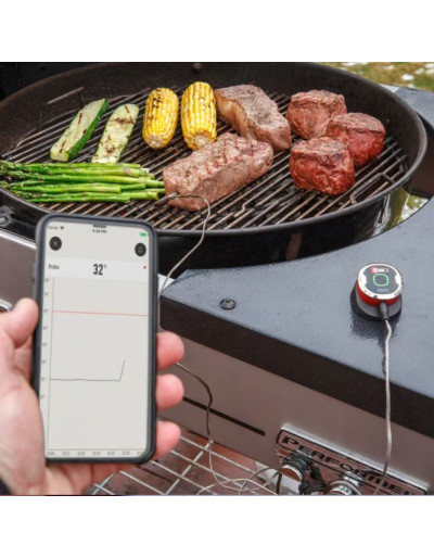 TERMÓMETRO DIGITAL IGRILL MINI