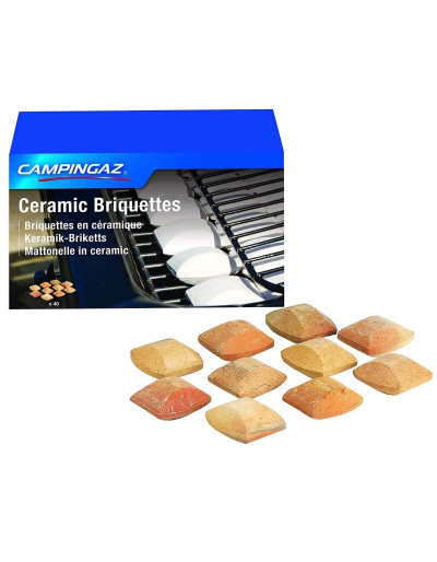 CARREAUX DE BARBECUE EN...