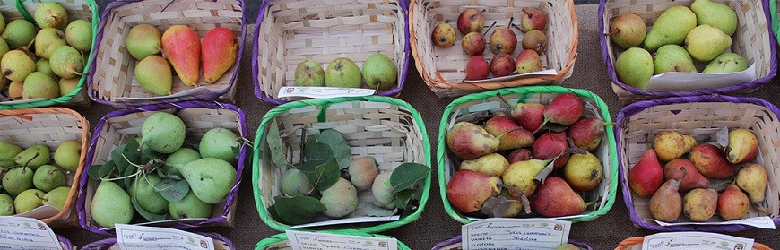 Plantas frutales italianas y europeas